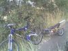 Filename=8BOB_and_Bike_3.jpeg
Filesize=112KB
Dimensions=640x480
Date added=Mar 19, 2010 8BOB_and_Bike_3.jpeg