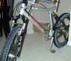 proflex04.jpg