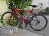853_Red_L.jpg