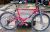 854_Red.jpg
