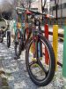 DSC00706.jpg