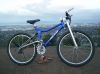 pro04.JPG